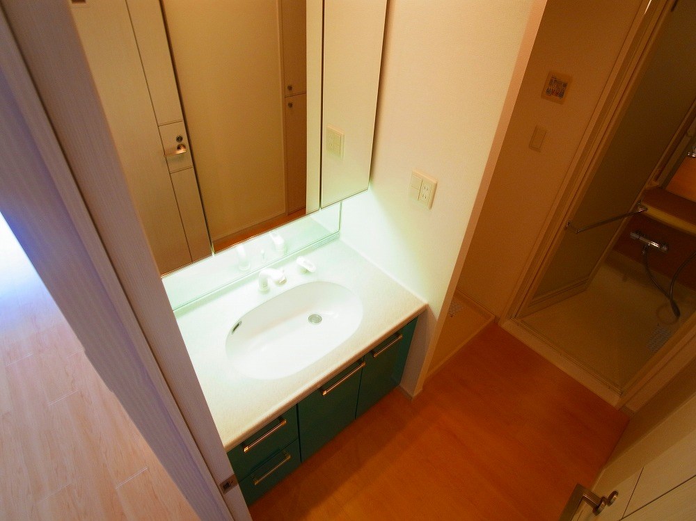 ロイヤルパークス新田 その他10