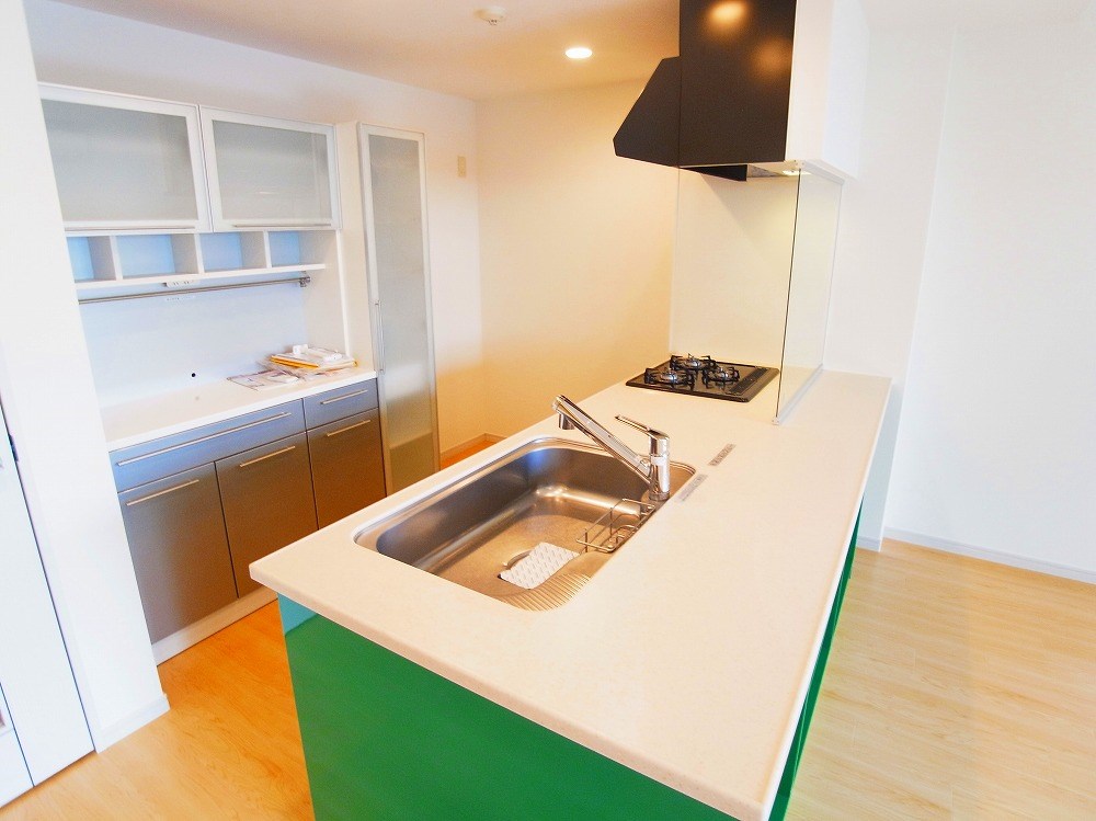 ロイヤルパークス新田 その他20