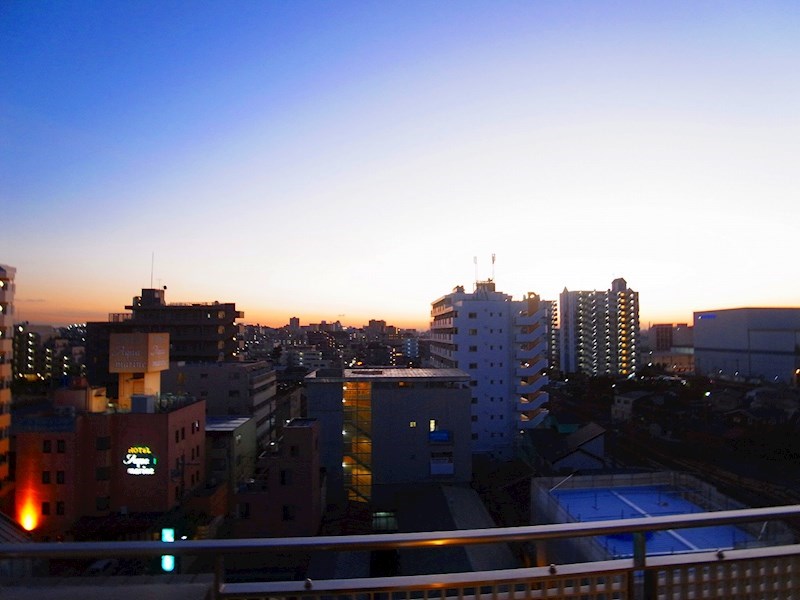 パインエクセレント その他5