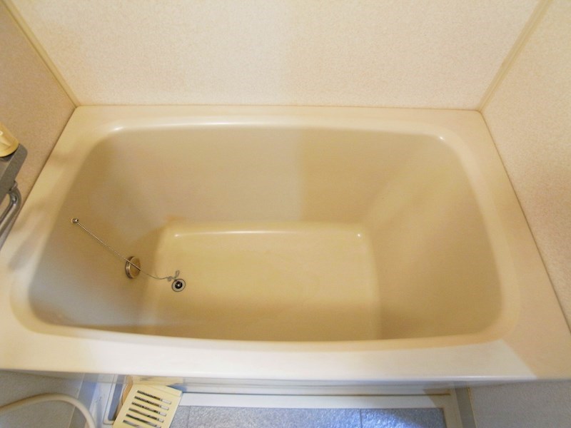 パインエクセレント その他11