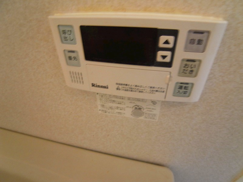 パインエクセレント その他12