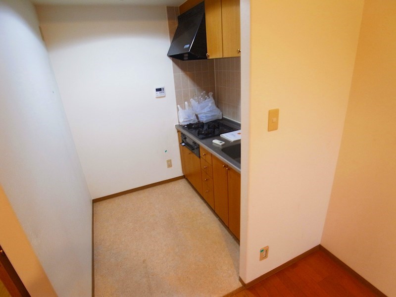 パインエクセレント その他23