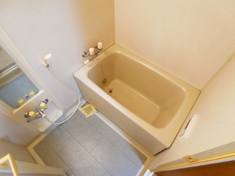 パインエクセレント 風呂画像