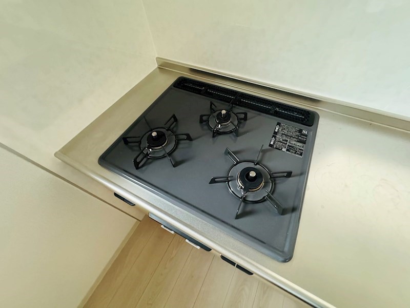 フジⅢ その他15