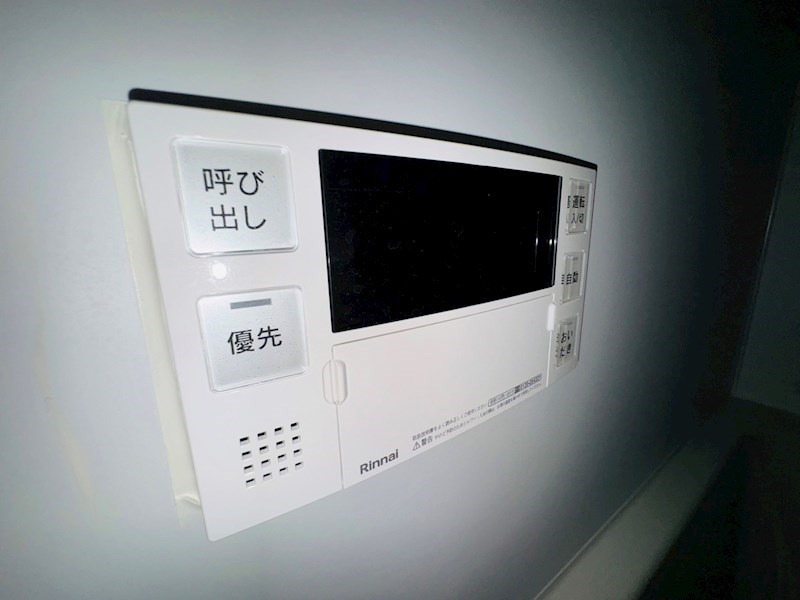 フジⅢ その他29