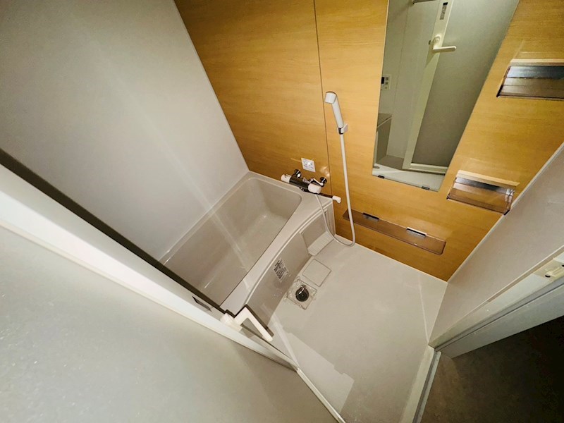 フジⅢ その他30