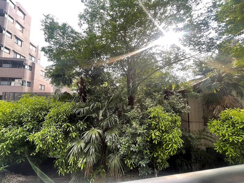 シャトーメルヴェーユ その他6