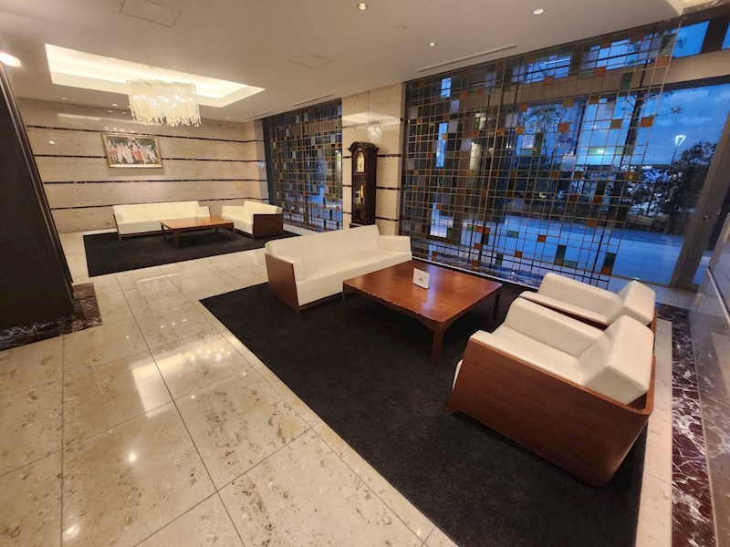 ヴィナシス金町タワーレジデンス その他外観3