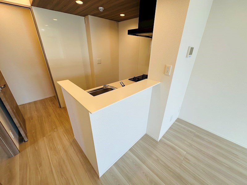 グラナーデ扇Ⅲ その他20