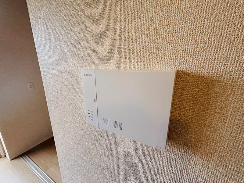 ラプエルタ その他33