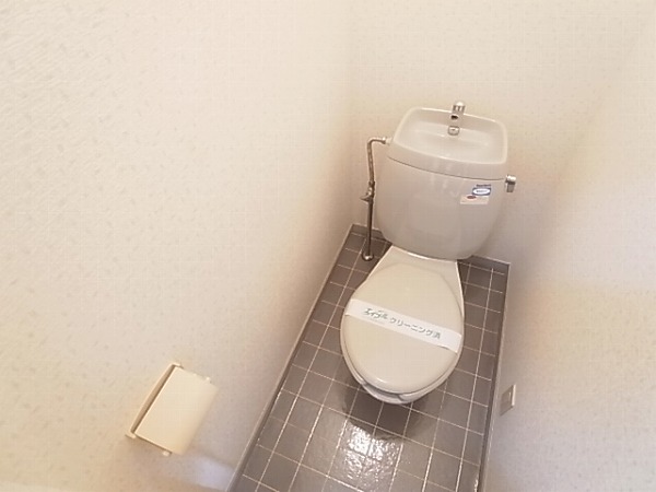 ヴェリガンドゥ その他1