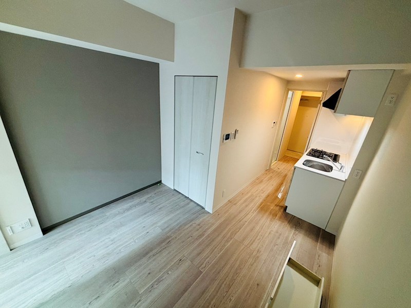 Luce　Ⅶ その他7