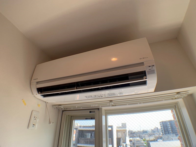 ミモザ その他5