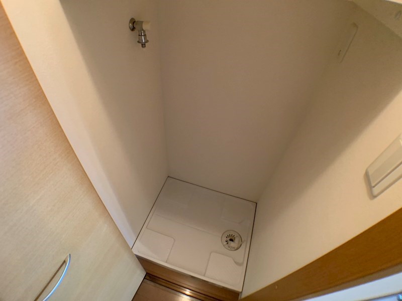 ミモザ その他12