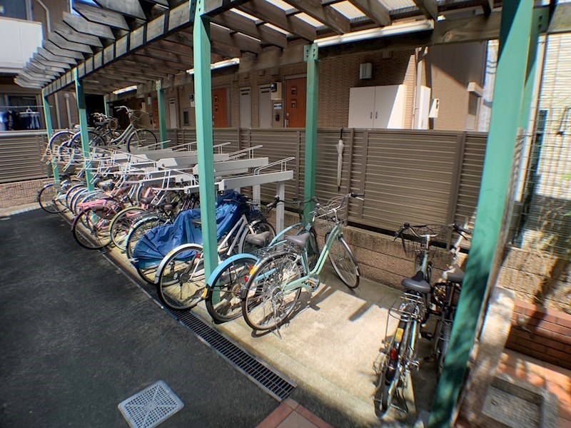 ミモザ その他25