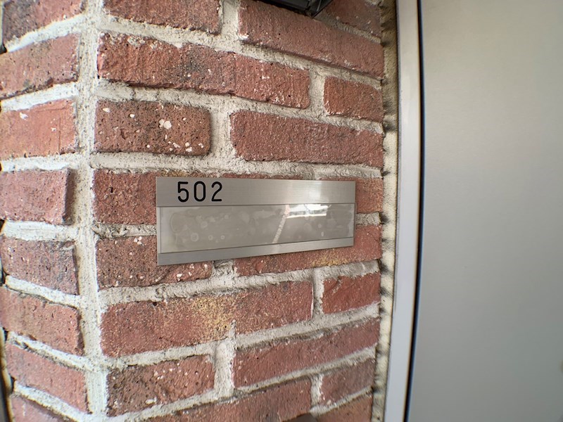 ミモザ その他26