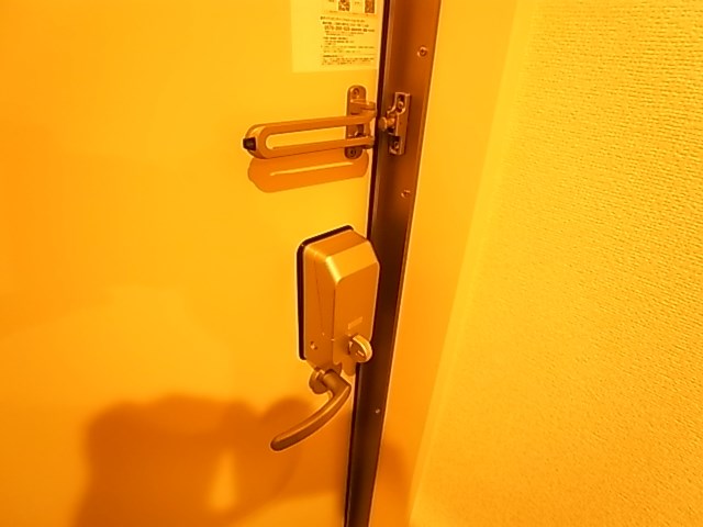 Ｄ－Ｓｑｕａｒｅ その他16