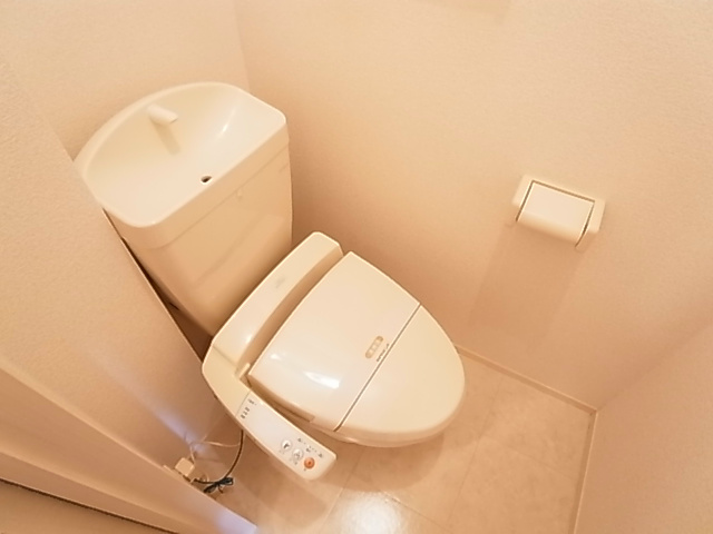 ティアラ新鎌 その他1