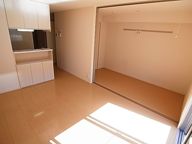 ティアラ新鎌 その他6