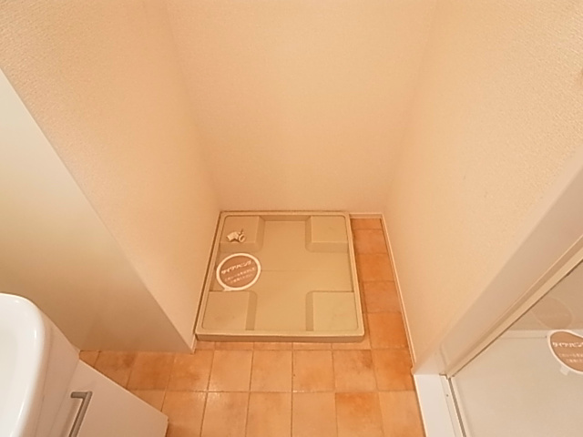 ティアラ新鎌 その他12