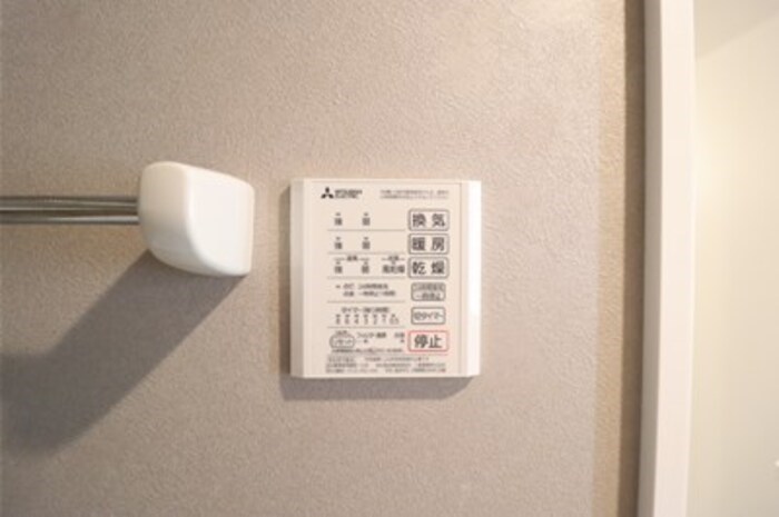 ガーネット その他5