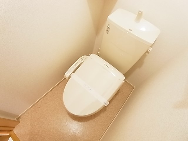 ピュア その他1