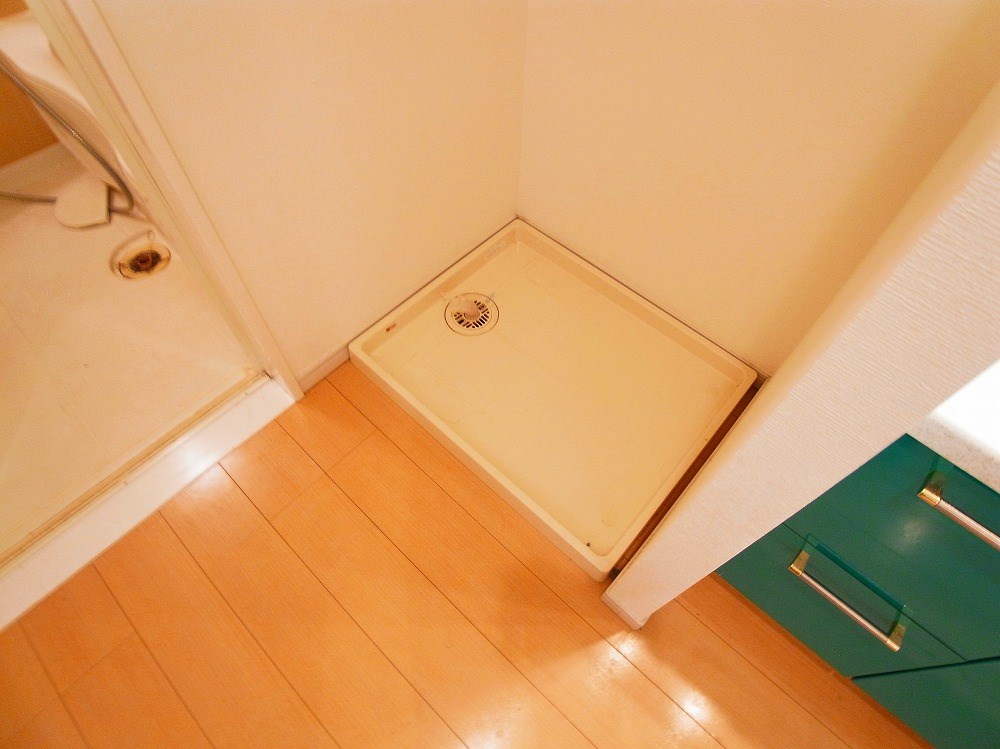 ロイヤルパークス新田 その他21