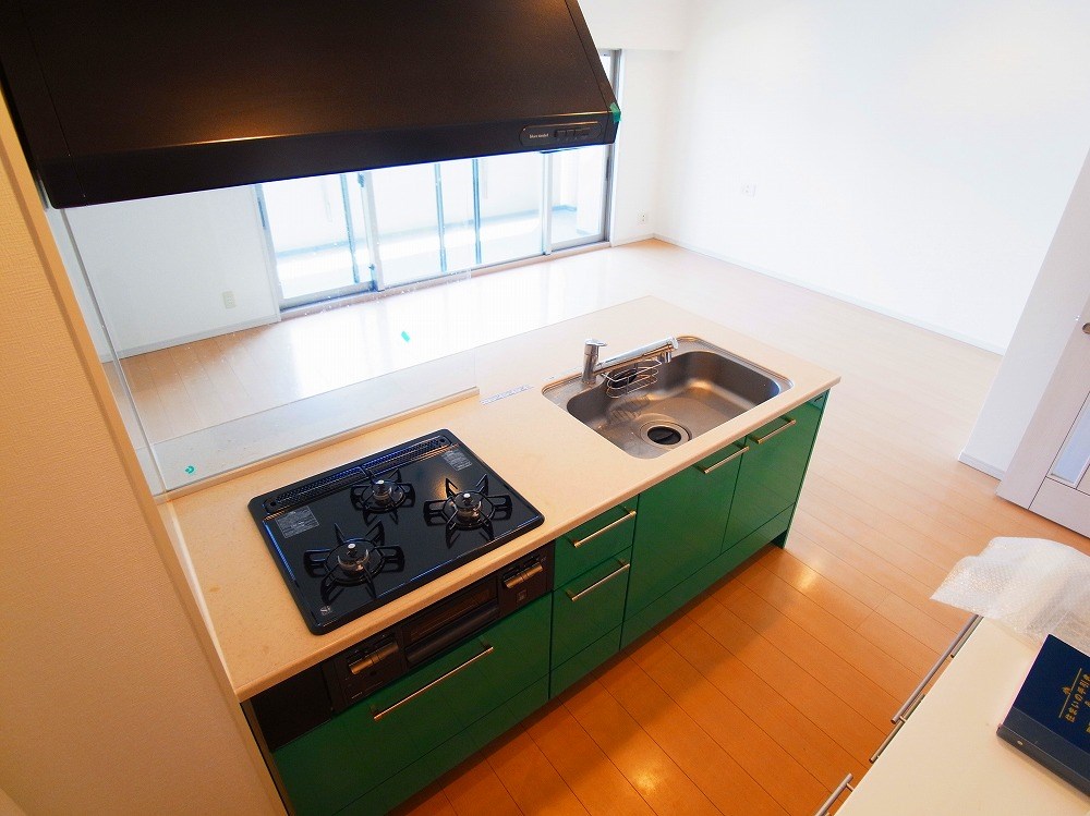 ロイヤルパークス新田 キッチン