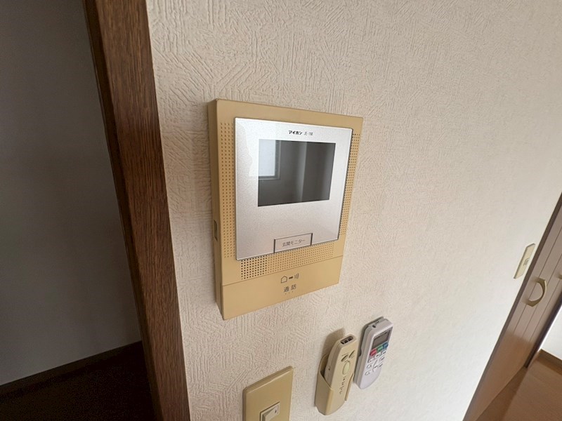 アンプルール　フェールカノン その他4