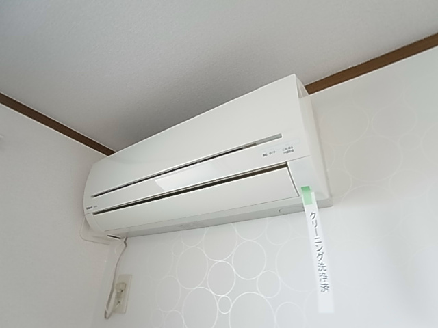 アンプルール　フェールカノン その他5