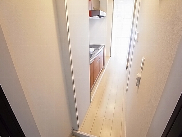 リブリ・ジェロ その他10