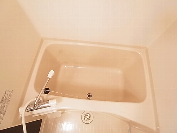 リブリ・ジェロ その他20