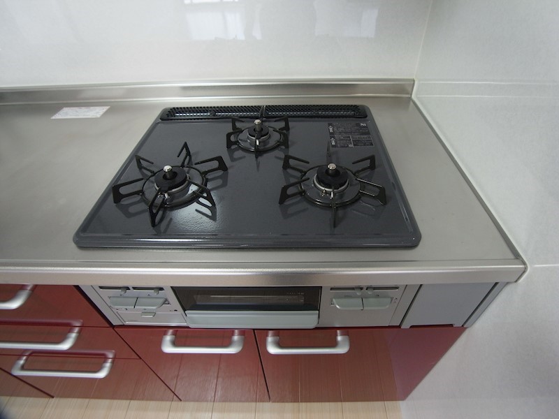 シラカワパレス その他9