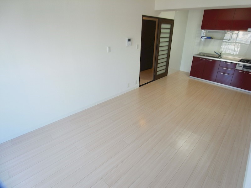 シラカワパレス リビング