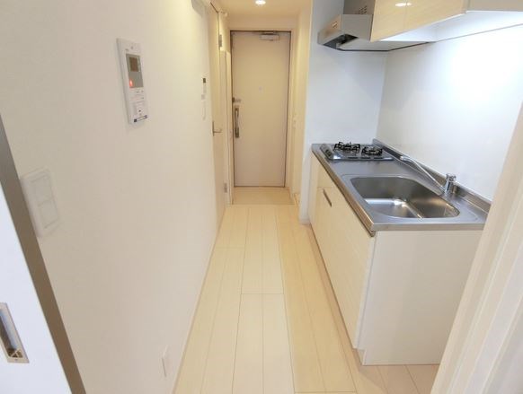 リブリ・ラシーナⅢ その他4