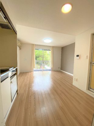 レジデンスＫ  リビング