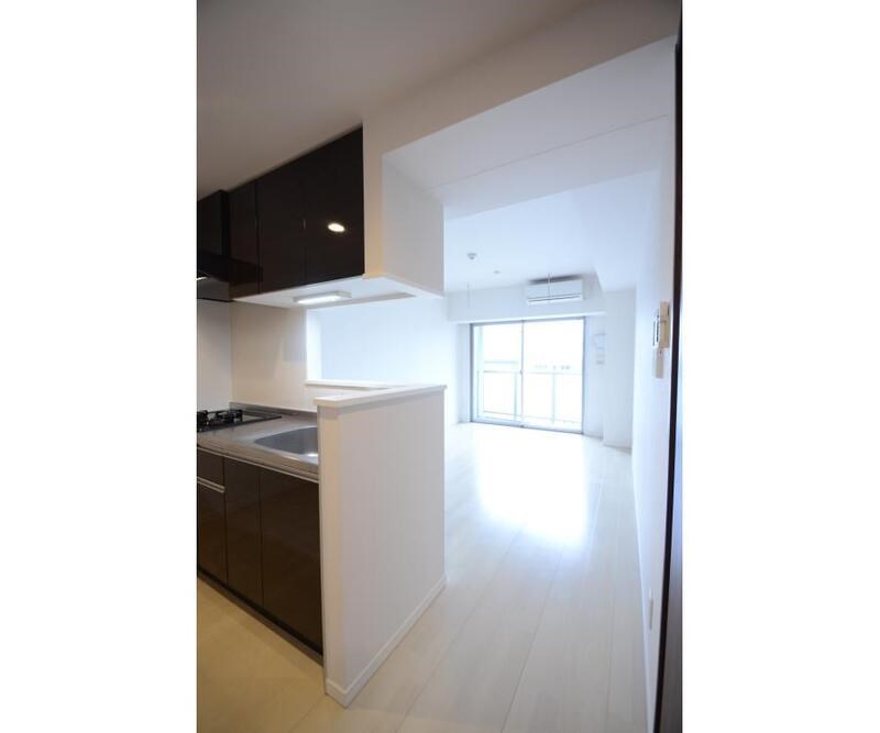 マーシスマルル その他12