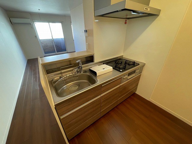 ダ　アン　ア　シス　 その他6