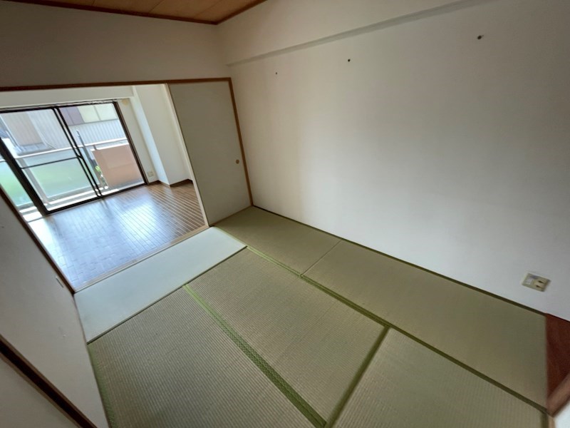 サングリーン海道割 その他18