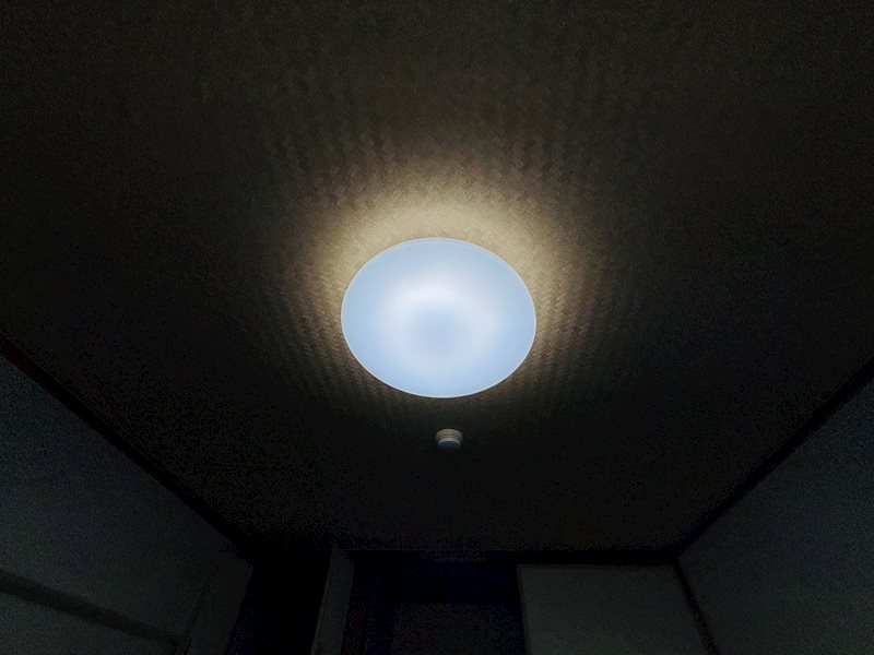 サングリーン海道割 その他27