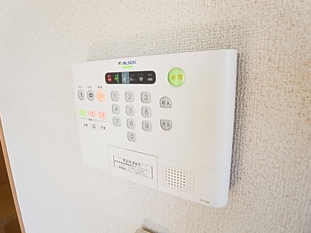 レイストリーフ その他4