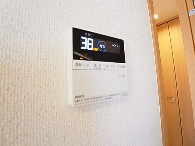 レイストリーフ その他8