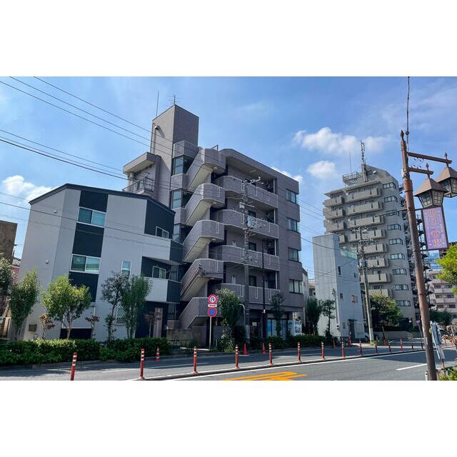 ブルーパロットアヤメ その他1