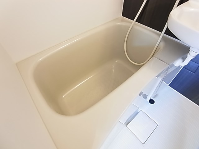 リブタス千住曙町  その他13