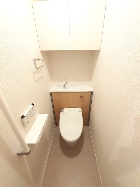 システィコート その他1