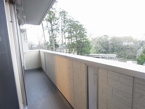 リシェスⅡ その他9