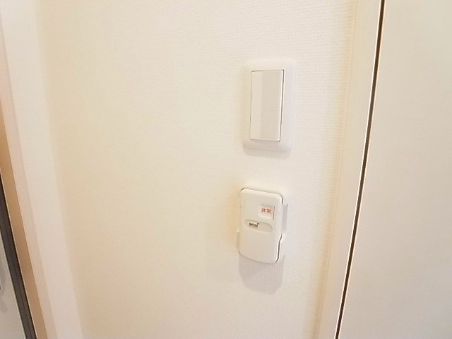 リブリ・リコ その他10