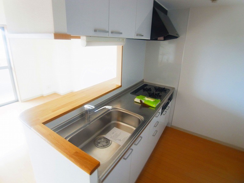 ヴィラエクセル キッチン