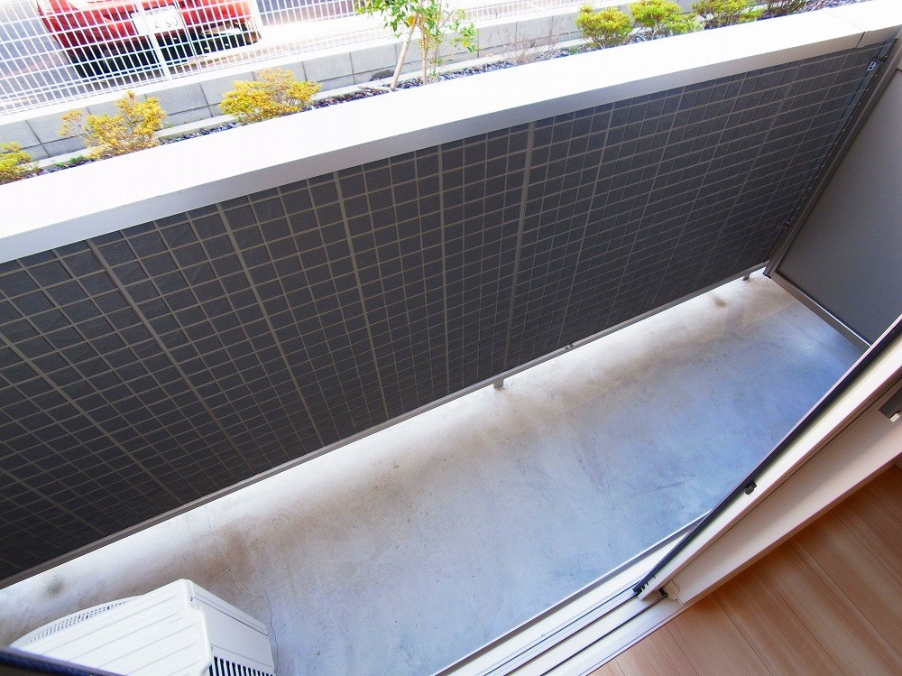 ルピナ その他11