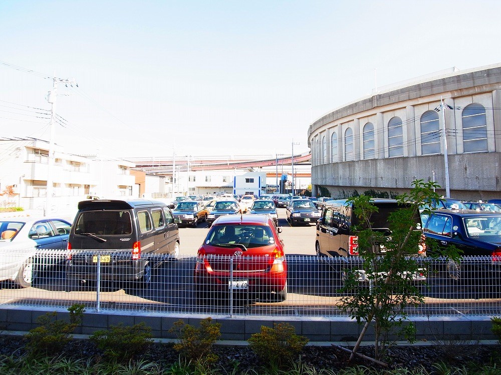 ルピナ その他12